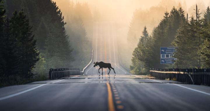 Follow Me North Photography