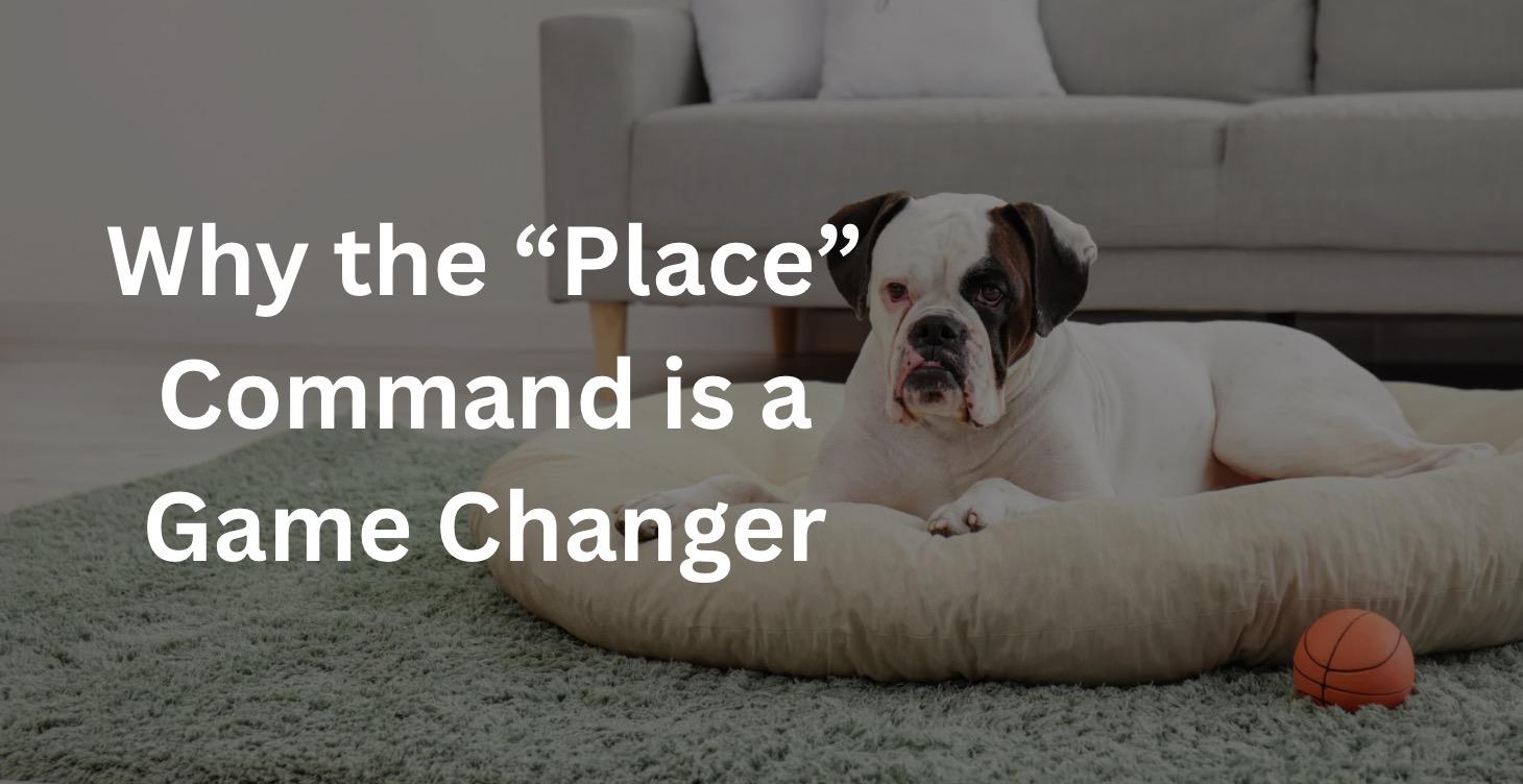 Why the “Place” Command is a Game Changer