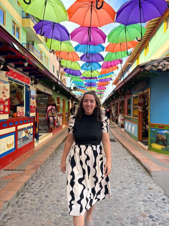 Alejandra Sepulveda Zabaleta