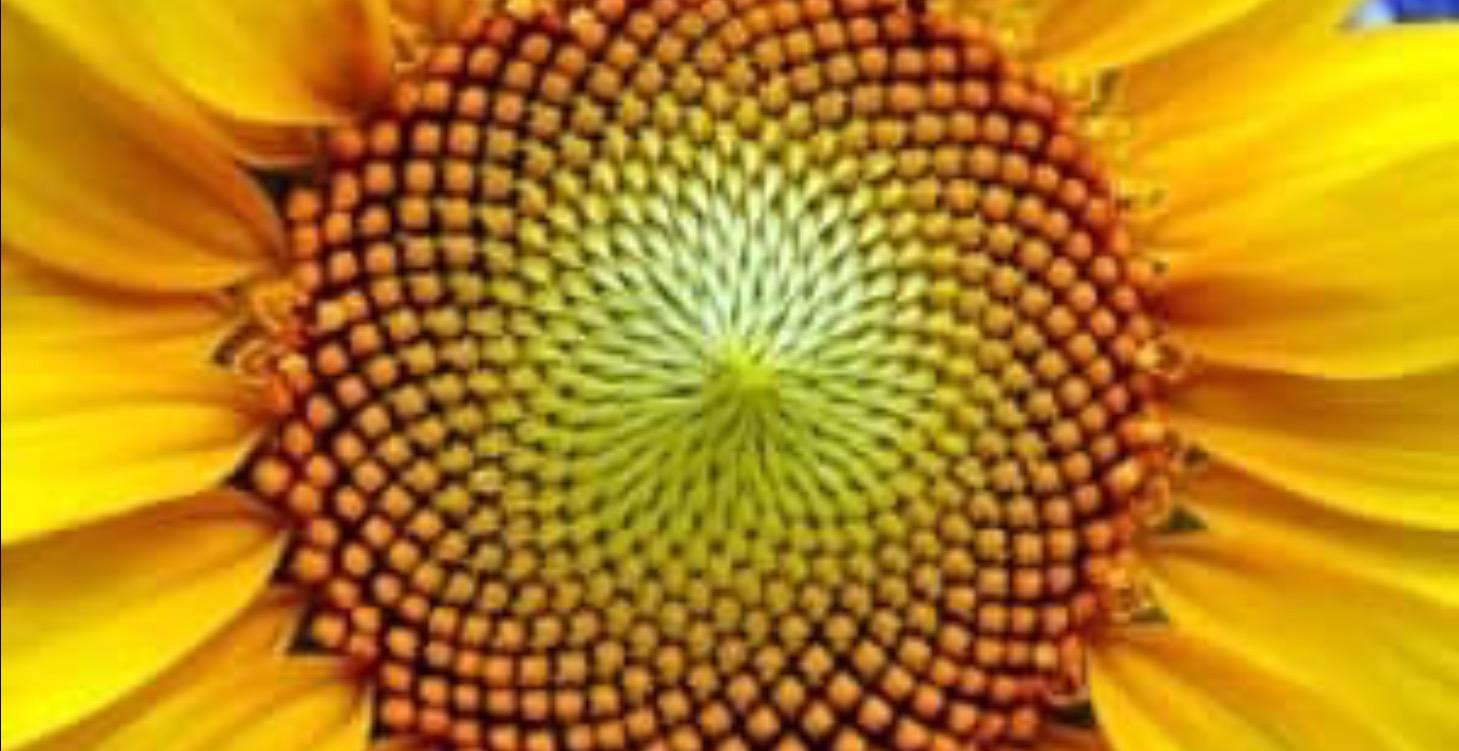 Numerology & the Path of Sovereign Awakening