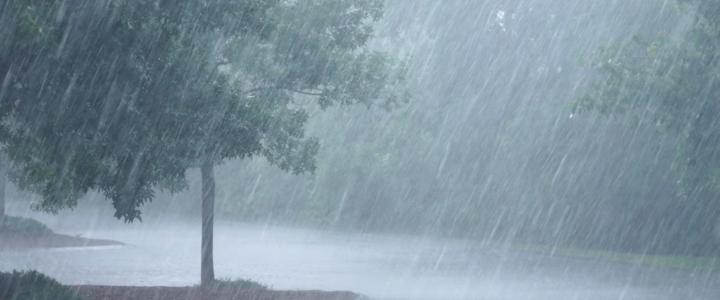 Rain Work