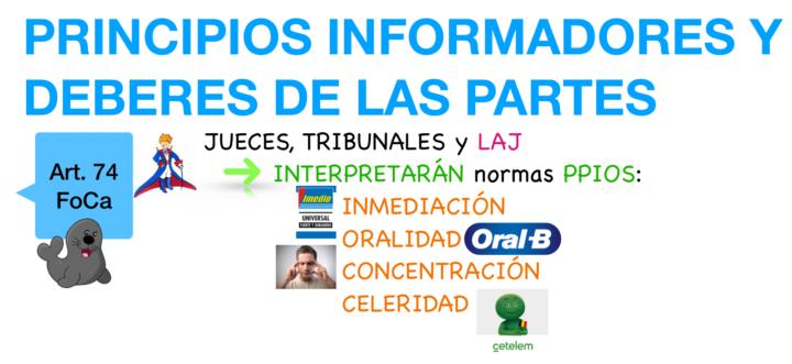 PRINCIPIOS DE LA JURISDICCIÓN SOCIAL
