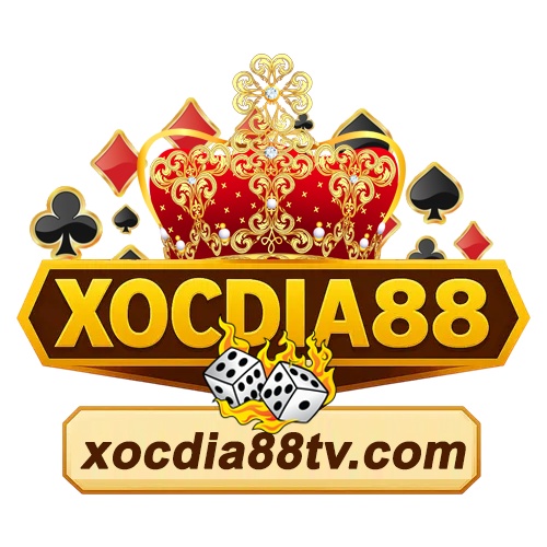 Xocdia Tvcom