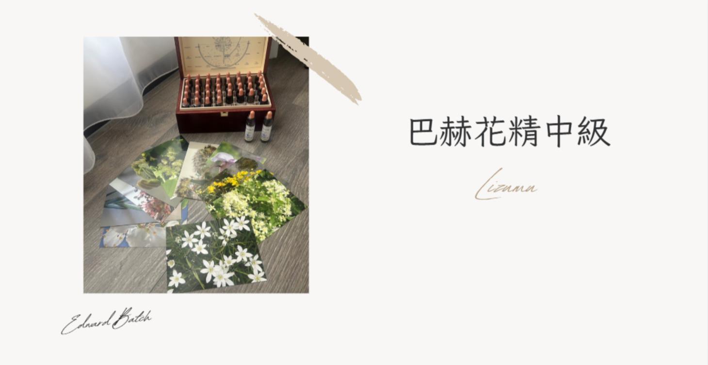 植療師初階課程_花精中級11