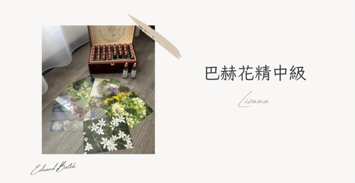 植療師初階課程_花精中級10