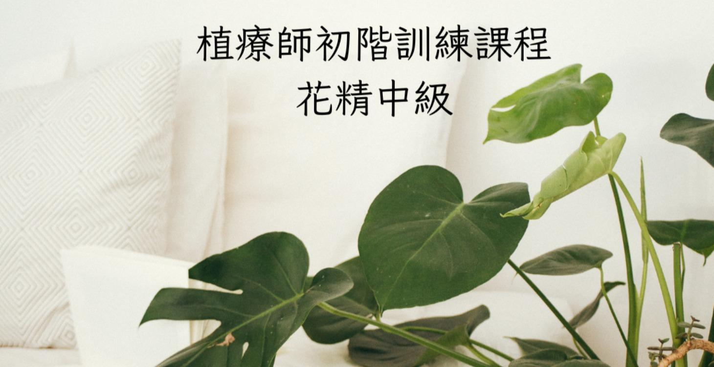 植物療癒師訓練課程_花精中級1