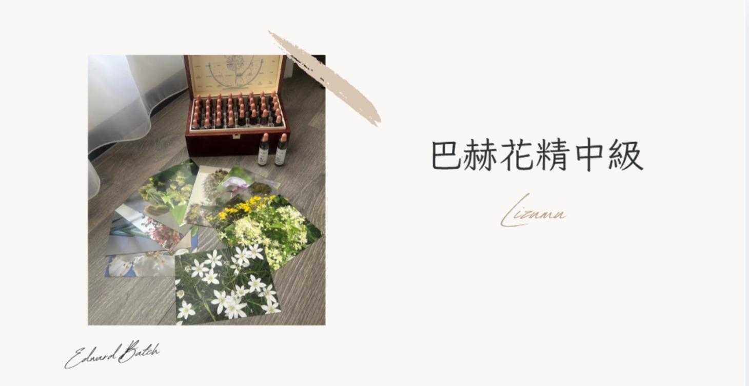 植療師初階課程 _花精中級6