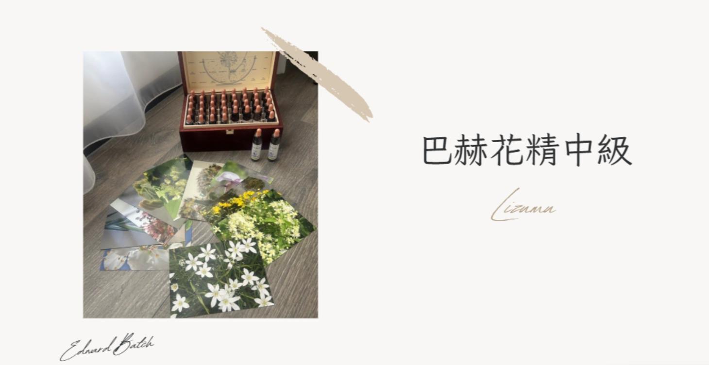 植療師初階課程_花精中級7