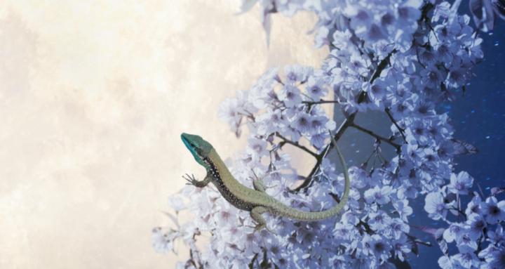 栗子植沐植療學院