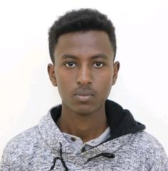 Ibsa Magarsa