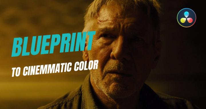 The Color Room