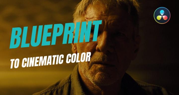 The Color Room