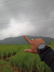 Laku Aja
