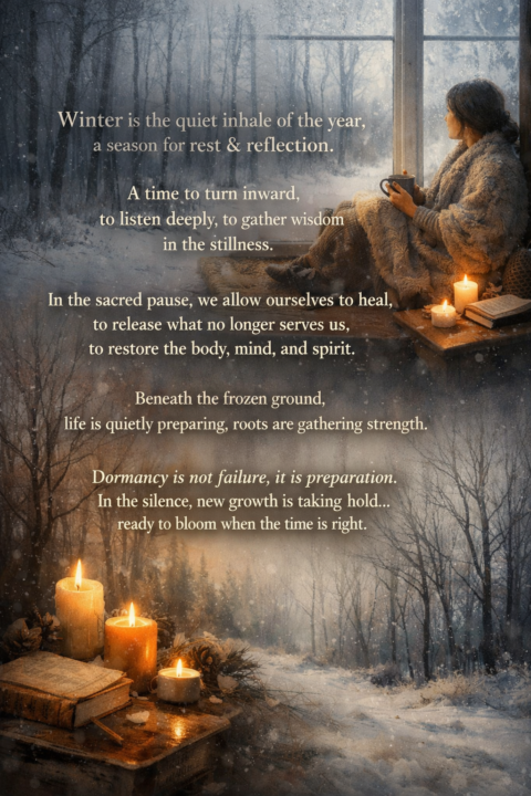 ❄️Winter is for Rest❄️