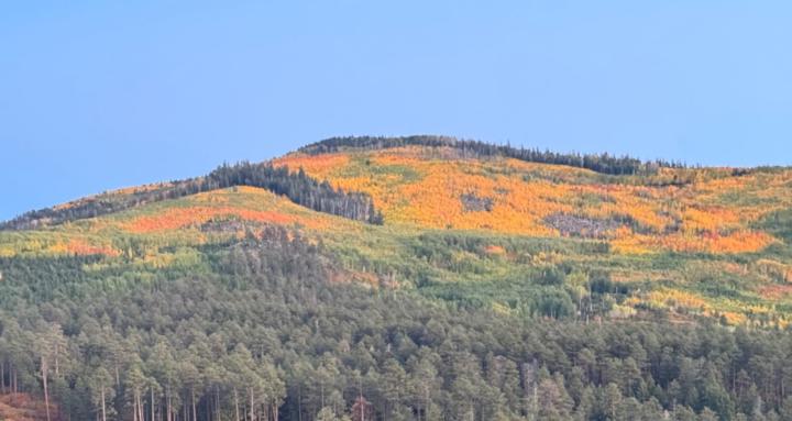 Becoming a Hunting Influencer