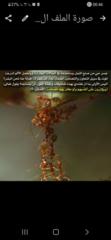Fouad Elaoud