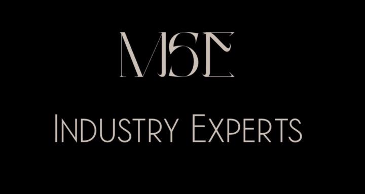 MSE Industry Experts