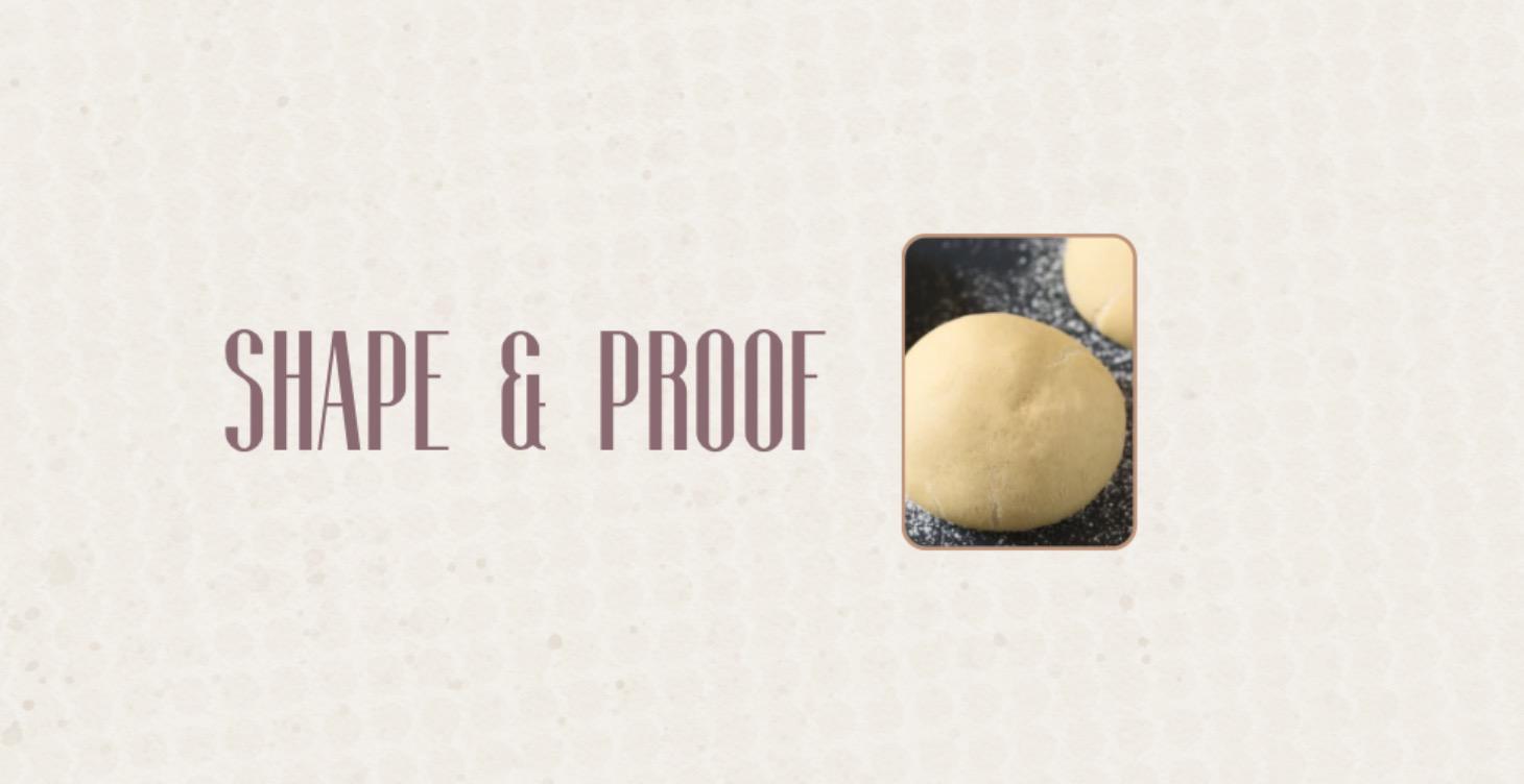 Course 4: Shape + Overnight Proof