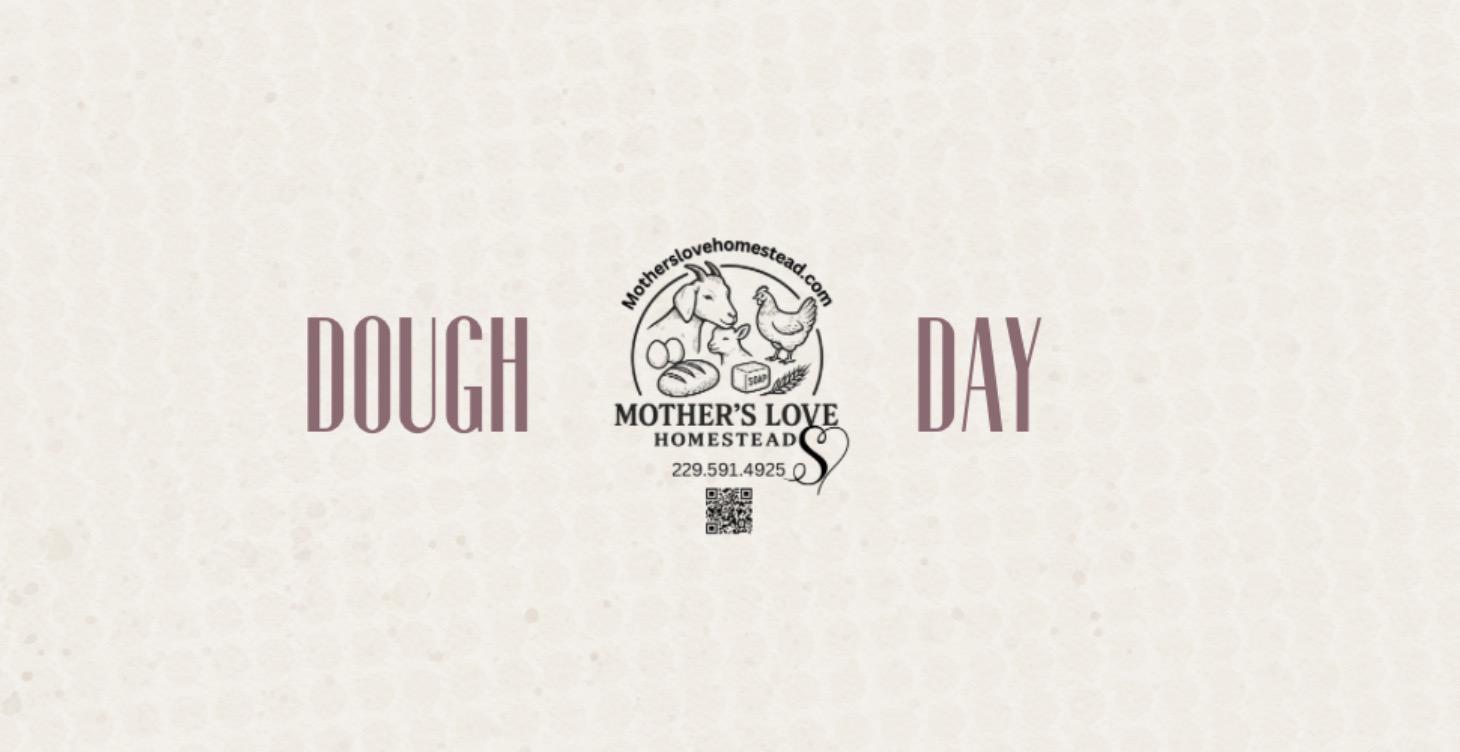 Course 3: Dough + Bulk Fermentation