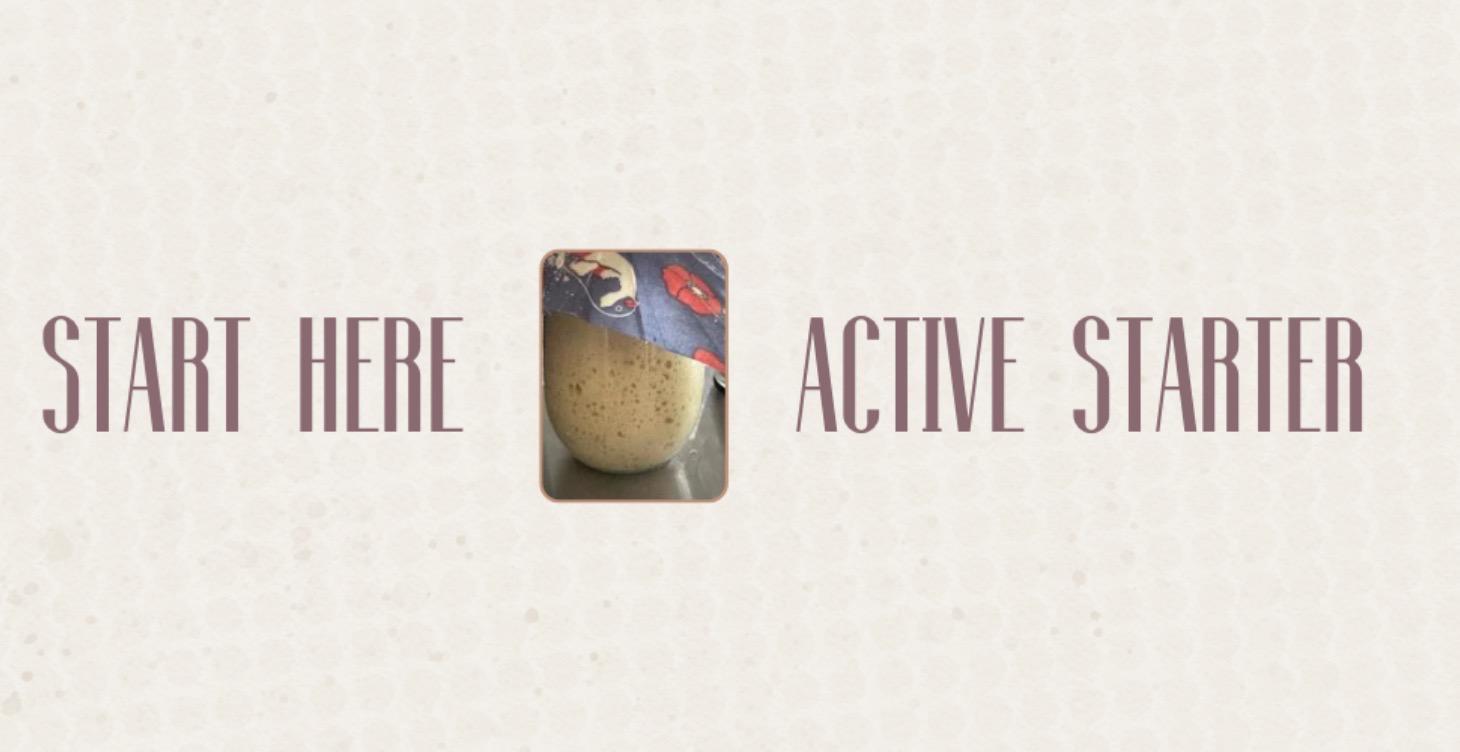 Course 2: Start Here (Active Starter in Hand)