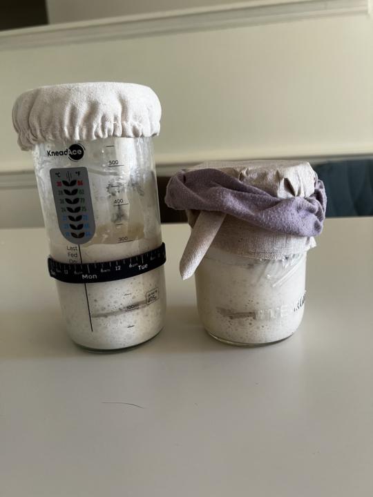 Goodmorning here is Madoughna and Donny Dough