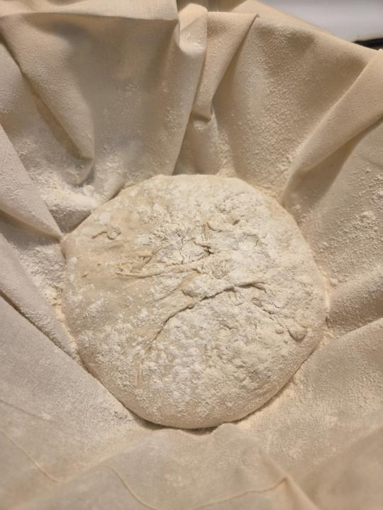 Resting before fridge