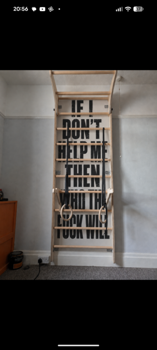 My Swedish ladder