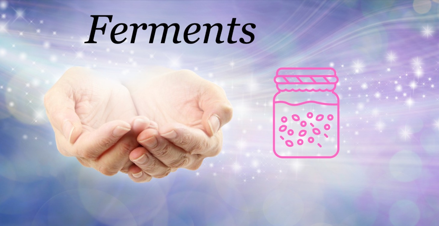 Ferment Recipes