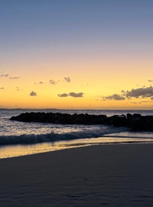 Maria Carla Carusone