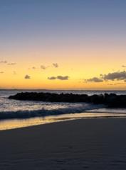 Maria Carla Carusone