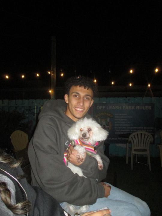 Mark Wahba