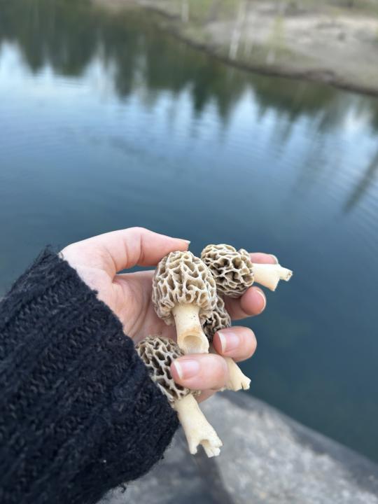 Look what we found!