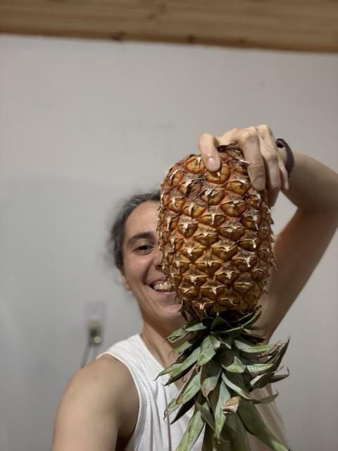 🍍