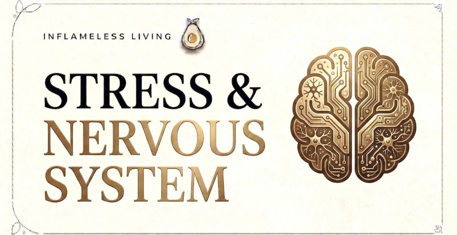“Stress, Nervous System & Inflammation Reset”