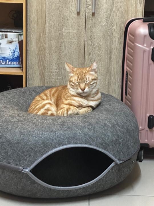陳 德虔
