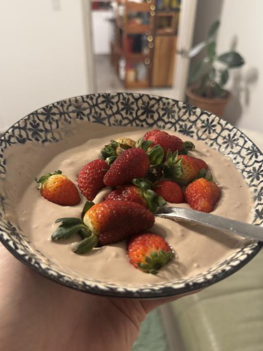 50gr Protein Dessert