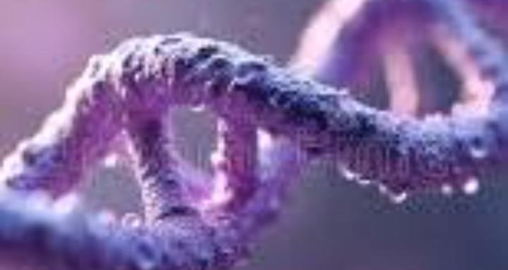 Age Reversal & Transformation