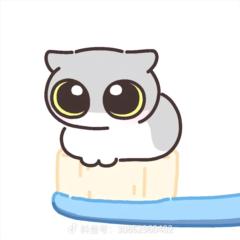 楊 姝雅