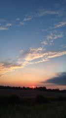 Ramute Ramanauskiene