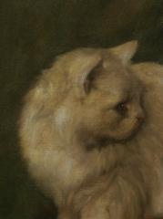 الزرقاء مالقة