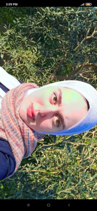 Noor Sommad