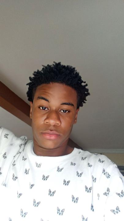 Timi Ogo