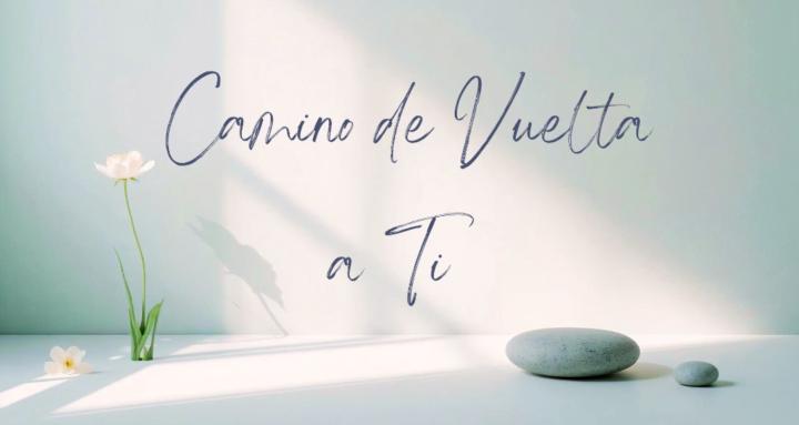 Equilibrio Puro | Imma