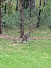 Byambabaatar Khenmedekh