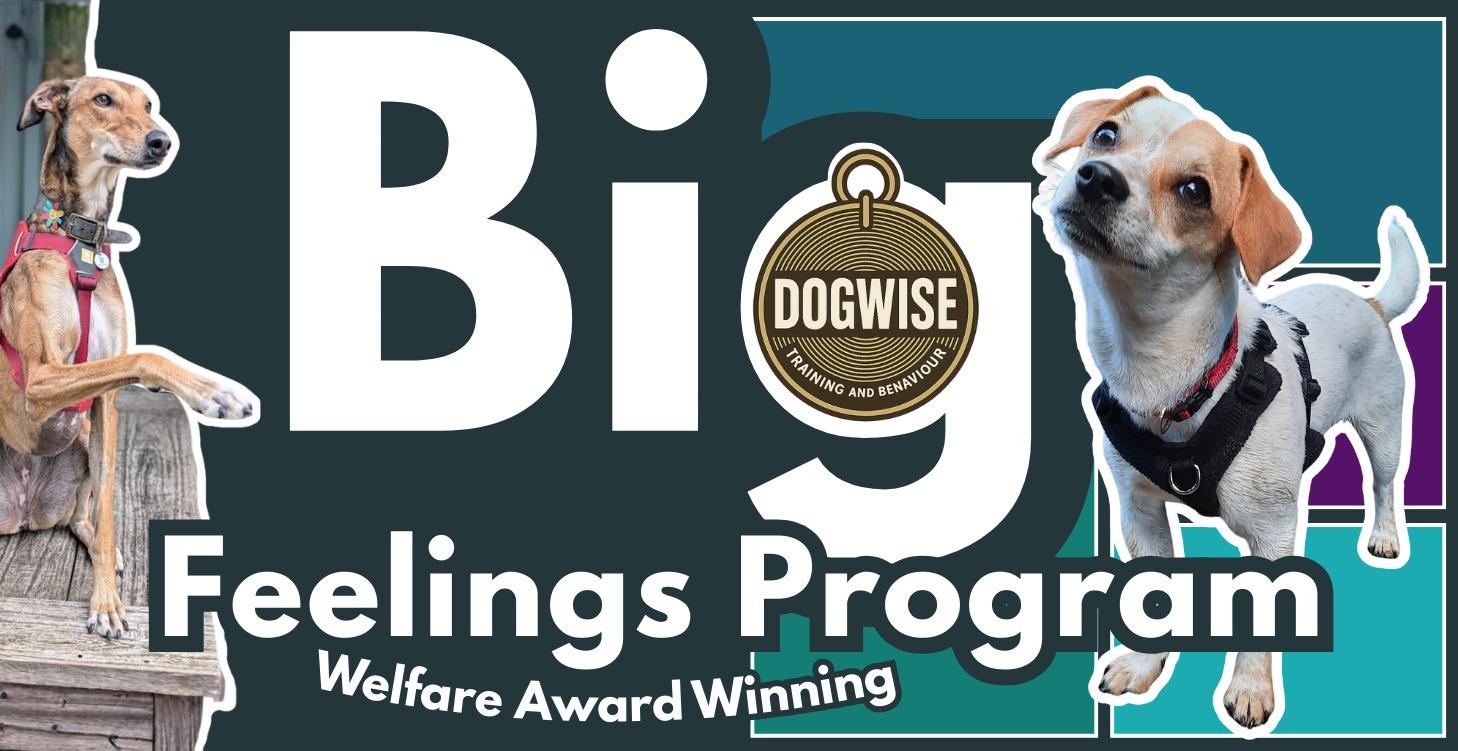 Dogwise Big Feelings Program