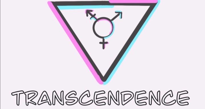 Higher transcendence