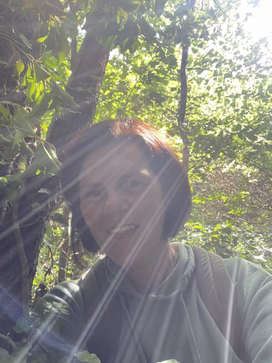 Tree Hugging 