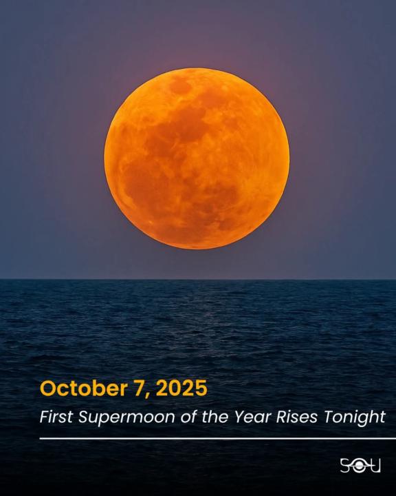 Massive Harvest Moon!! 🙌