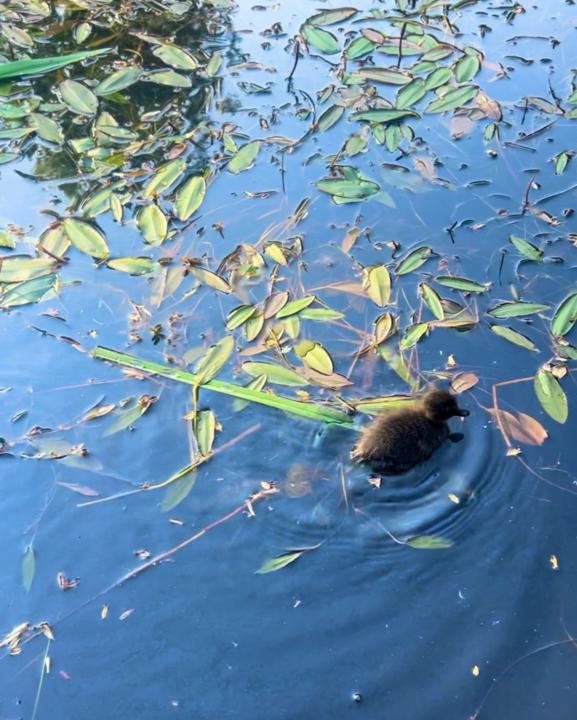 Close call with Nature….again!!