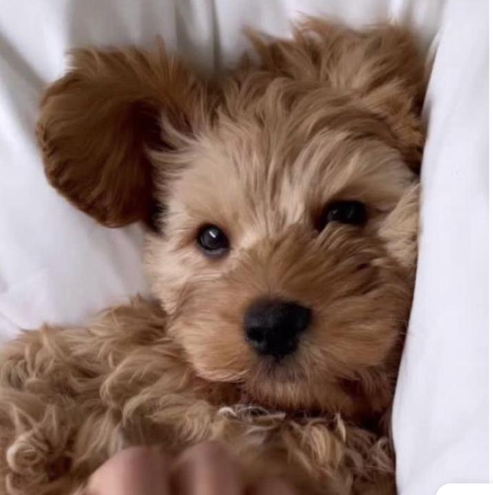 Nadja Nygaard Kristensen